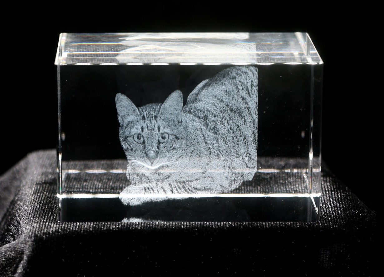 A photo of a cat engraved in 3D inside a solid crystal block