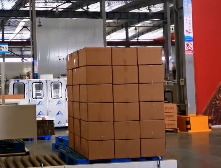 Finished pallet of cartons beside pallets and conveyor at a robot palletizing cell