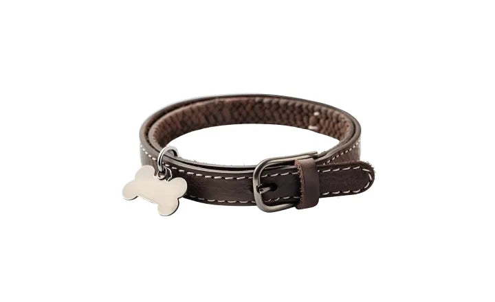Tailor Pet Products to Deepen Emotional Engagement and Brand Affinity - xTool Retail Solution Malaysia